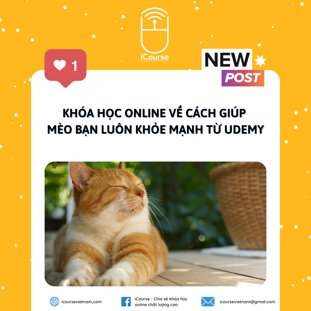 Khóa Học Online Về Cách Giúp Mèo Bạn Luôn Khỏe Mạnh Từ Udemy